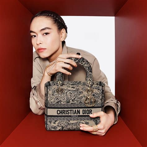 christian dior bags canada|christian dior handbags canada.